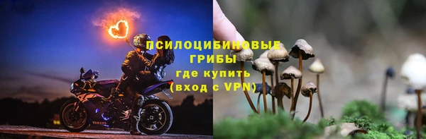 дмт Бородино