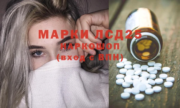 дмт Бородино