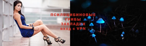 прущий лед Бронницы