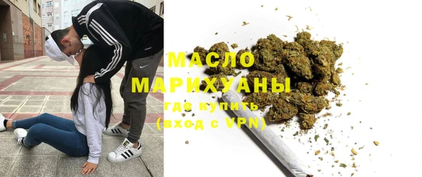 дмт Бородино